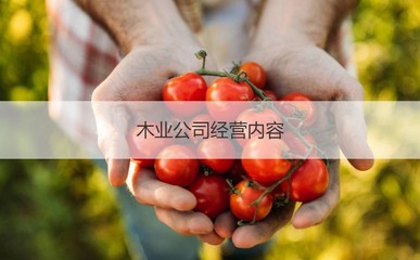 廣西南寧豐林木業集團 南寧豐林木業招聘